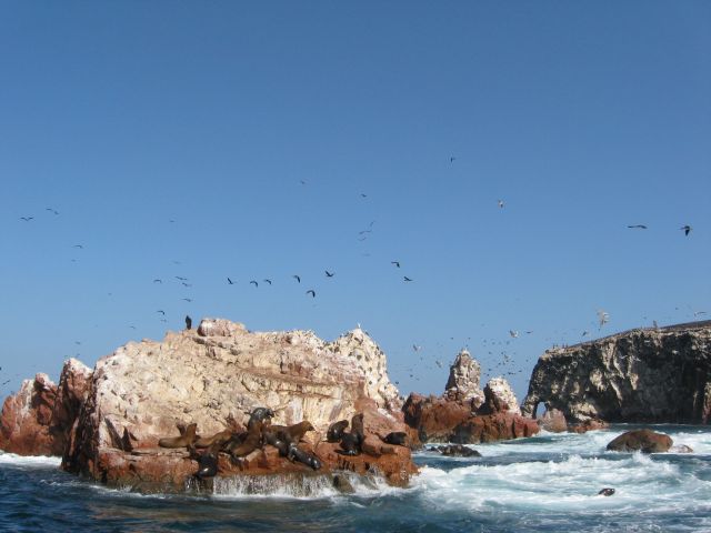 Paracas