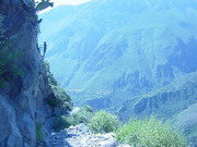 Colca Hiking